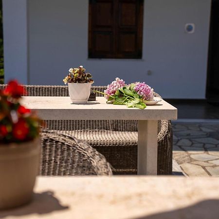 Paradeisos Rooms Pelion Áyios Dhimítrios エクステリア 写真